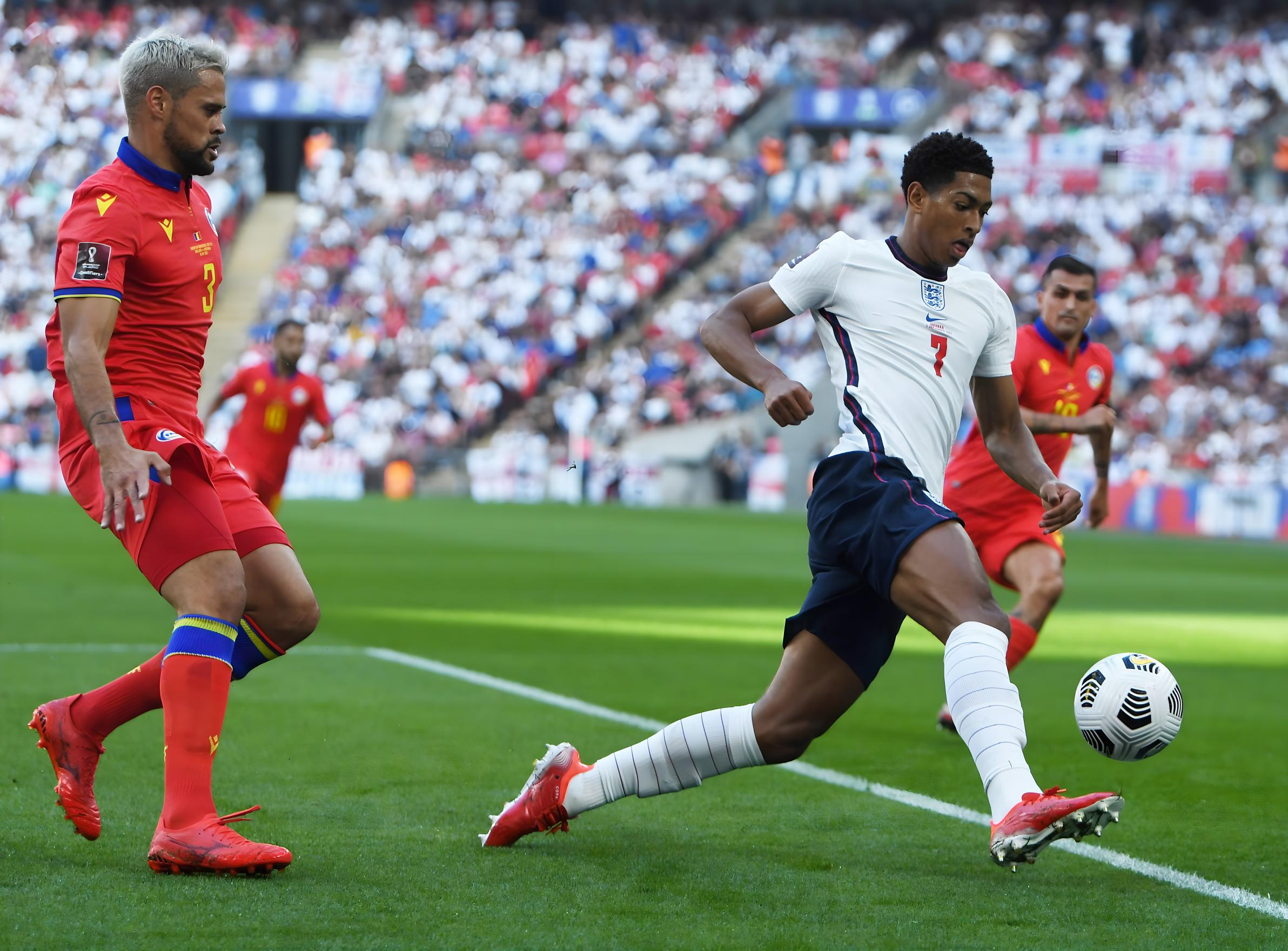 他已经被安 他已经被安